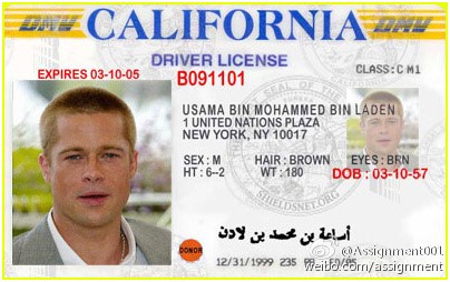 1533689720497399.jpg 美國(guó).jpg