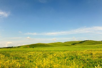 1546821747621498.jpg 1.jpg