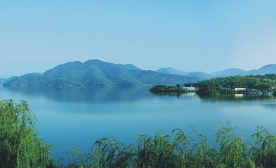 1546827861927698.jpg 1.jpg