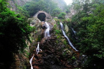 1546828263443357.jpg 2.jpg