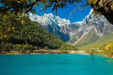 1546828877246442.jpg 2.jpg