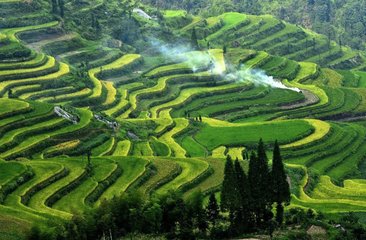 1546828916977919.jpg 1.jpg