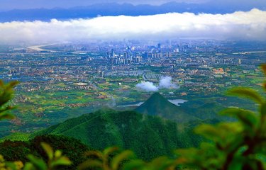 1546829604659292.jpg 2.jpg