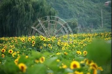 1546830068316124.jpg 2.jpg