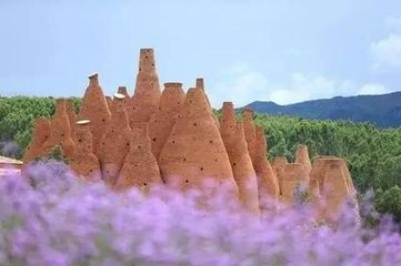 1546830152725818.jpg 1.jpg