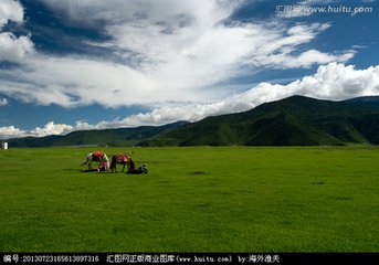 1546830477329767.jpg 2.jpg