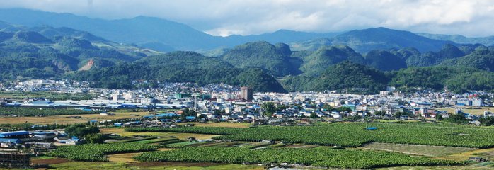 1546830897911489.jpg 1.jpg