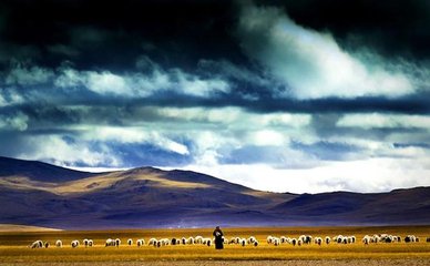 1546842786549534.jpg 1.jpg