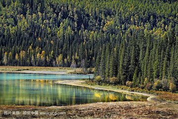 1546843331265746.jpg 1.jpg