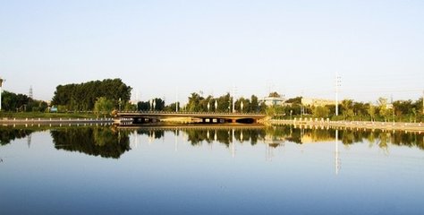 1546843716973336.jpg 2.jpg