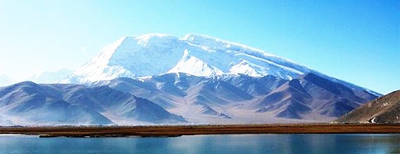 1546843945942622.jpg 1.jpg