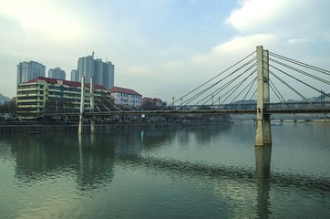 1546923232257686.jpg 1.jpg