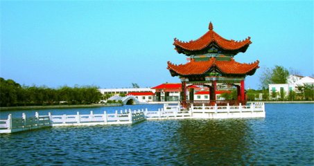 1546946425694382.jpg 1.jpg