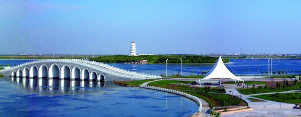 1546946851186992.jpg 1.jpg