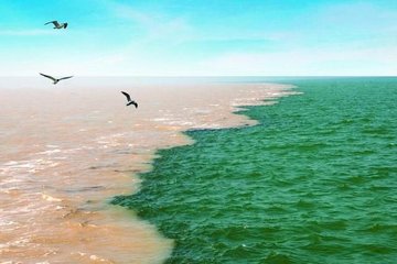 1546946858328066.jpg 2.jpg