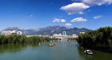 1546948336430835.jpg 1.jpg