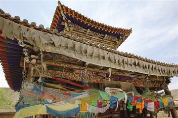 1546949316403845.jpg 2.jpg