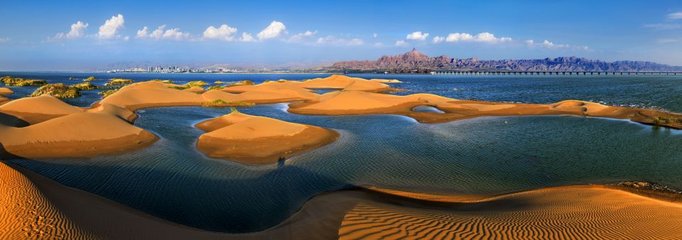 1546949831374050.jpg 1.jpg