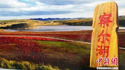 1546950046331593.jpg 1.jpg