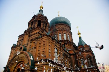 1546994797774096.jpg 2.jpg