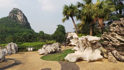 1546998002936084.jpg 1.jpg