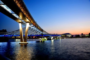 1546998916776926.jpg 1.jpg