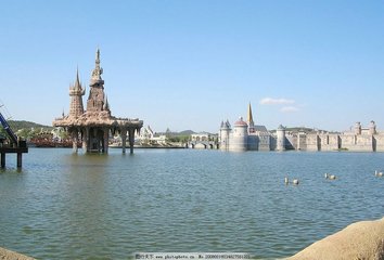 1547001669929988.jpg 2.jpg