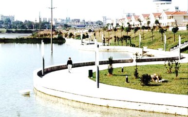 1547013637546809.jpg 1.jpg