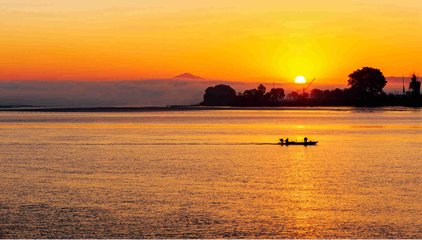 1547117200572935.jpg 1.jpg