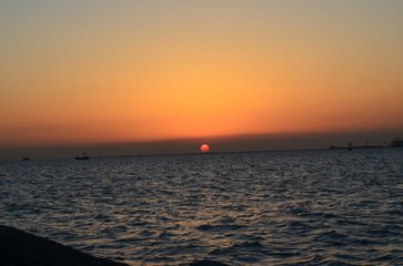 1547376203562388.jpg 1.jpg