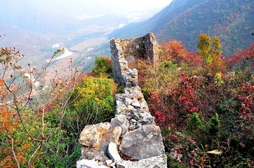 1547430158439916.jpg 1.jpg