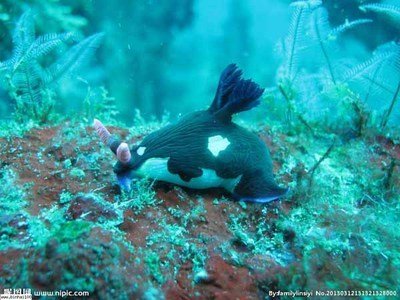 1576714988684089.jpg 導(dǎo)游詞.jpg