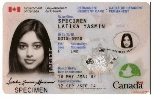 1577146351984668.png 駕照.png