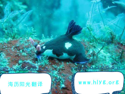 1695084436445282.jpg 導(dǎo)游詞.jpg