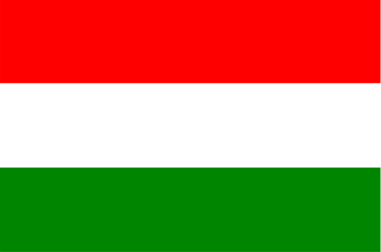 1709165589338441.png 匈牙利語翻譯.png