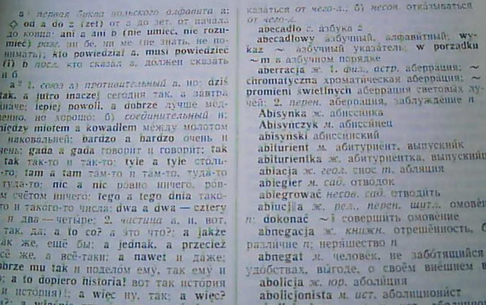 1750896136354571.png 波蘭語翻譯.png